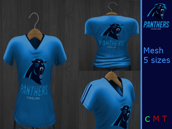 Panthers mesh jersey