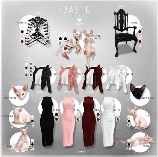 -Pixicat- Bastet.Chair RARE