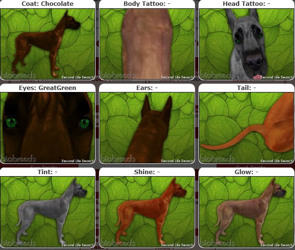 BB GD Box [F] chocolate/GreatGreen