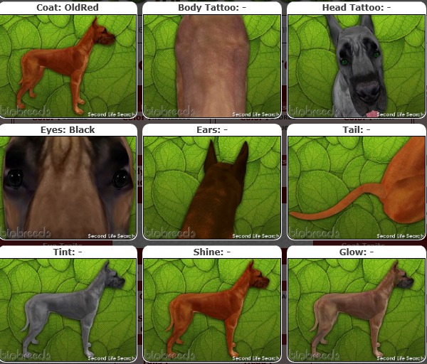 BB GD Box [F] OldRed /Black