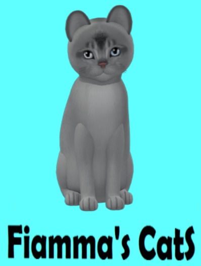 KittyCatS Box - Abyssinian - Black Silver