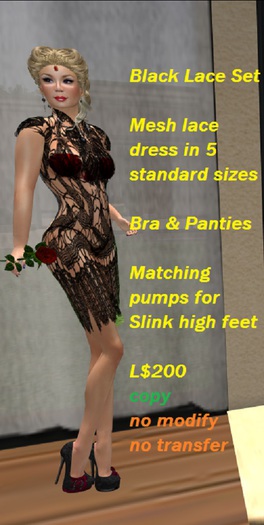 Black Lace Dress Set complete