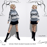 Winter Mesh Hooded Sweater & Skirt Set Box