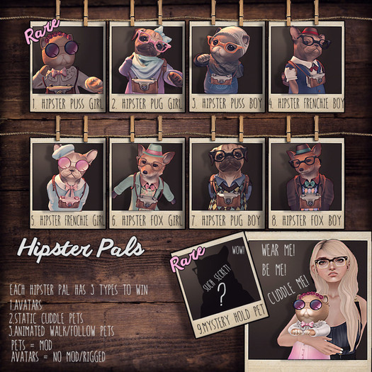 Alchemy/Birdy - Puss (Girl) -  Companion [box] RARE 1