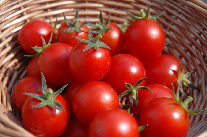 homegrown-tomatoes-basket Texture