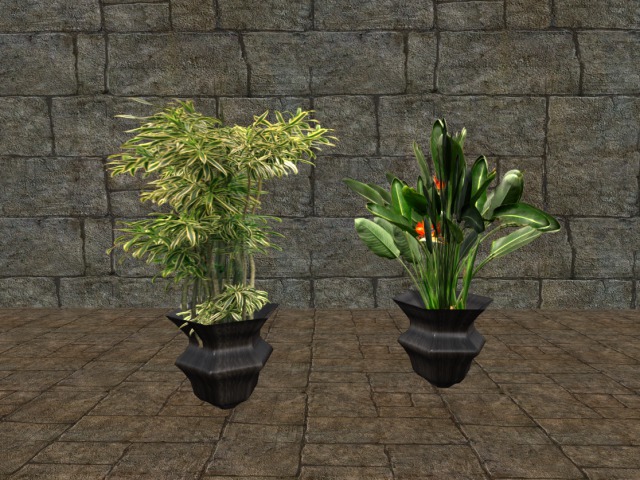 2 potted plants (boxed)