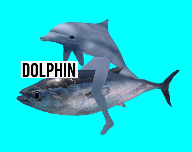 [2.oodles] Dolphin BOXED (wear)