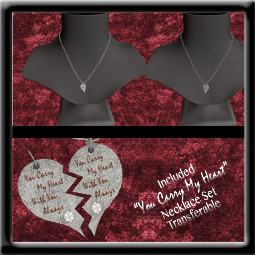 *MID*  You carry My Heart necklace Set In  Silver