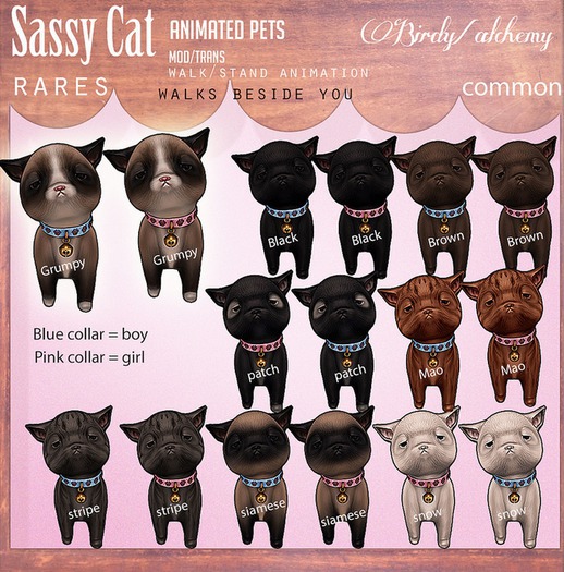 Alchemy/Birdy - Sassy Cat - G - Grumpy [box] RARE SAMUEL