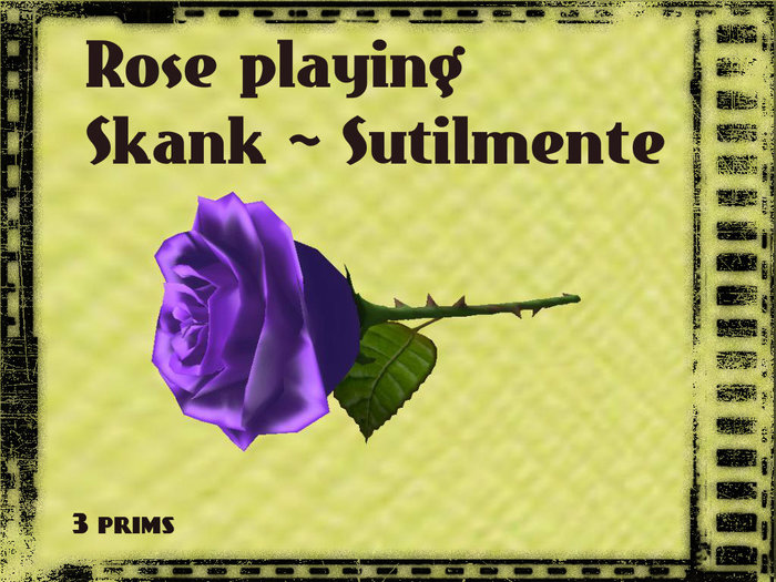 Rose playing Sutilmente