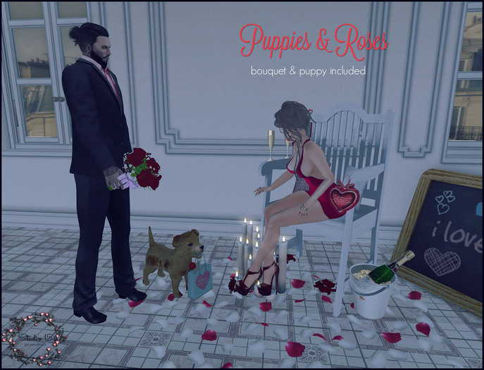 {Studio 15} Puppies & Roses *$75L VDay Special*