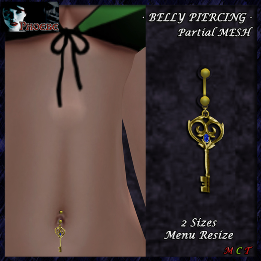 *P* Keep My Secrets Belly Piercing (P.MESH)