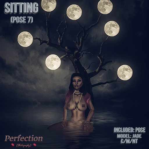 Perfection ~ Sitting (Pose 7)-HUD ADD ME-