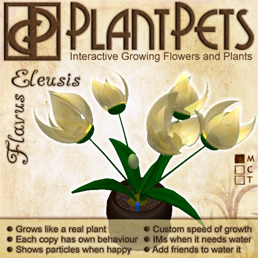 PlantPet Seed [Rosa *Arcanus*] Rare