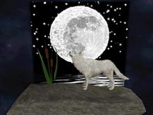 {PpP}Animal Series White Wolf Deluxe Tipjar (WEAR or REZ)