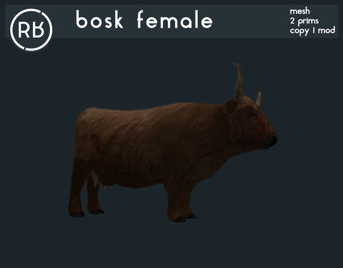 RB bosk female
