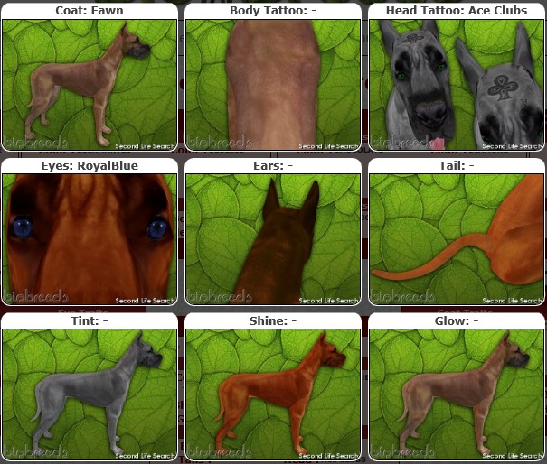 BB GD Box [F] fawn/royalblue/Ace Clubs 