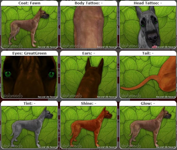 BB GD Box [F] fawn/greatgreen