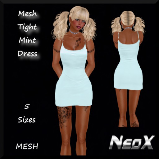 MESH TIGHT MINT DRESS