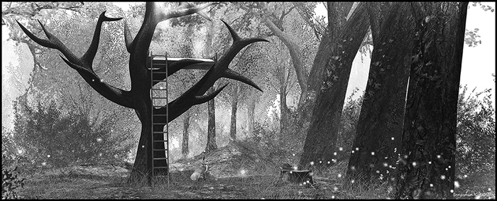 What does the fox see?