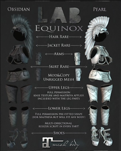 [LAB737] Equinox Shoes Obsidian 