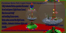 Christmas Betta Fish ( Light House Fish Aquarium )