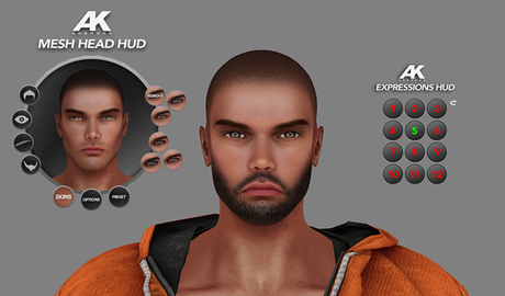 Second Life Marketplace - AK] Pablo Bento Head Vers. 2.6 + Animation HUD