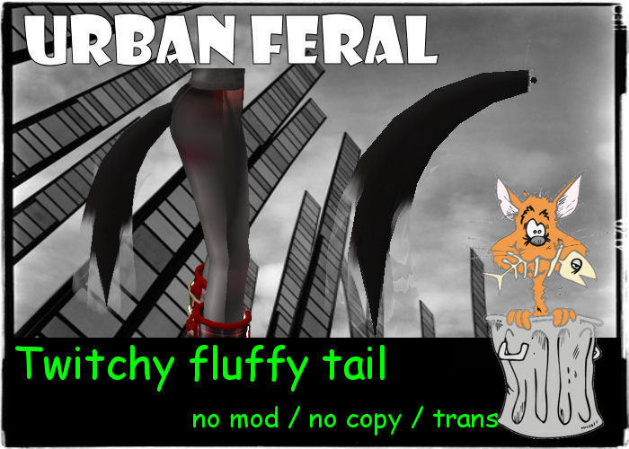 Urban Feral - Twitchy fluffy tail