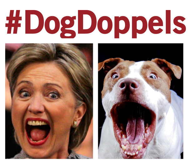 Hillary Clinton Barks
