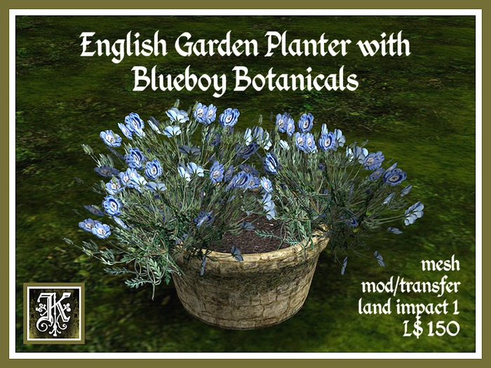 *K* English Garden Planter, Blueboy Botanicals (mesh)(boxed)