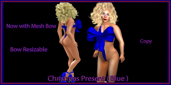 CHRISTMAS PRESENT( BLUE ) ( Mesh Bow ) With mesh bow