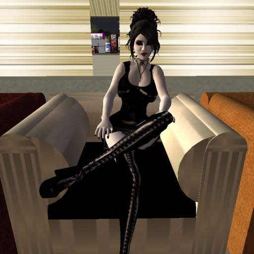 salubrius chair black and silver updated