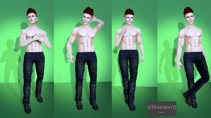 ((Dunphon)) - Masculine Stands 1