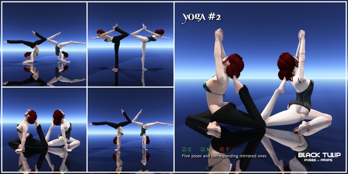 [Black Tulip] Poses - Yoga #2