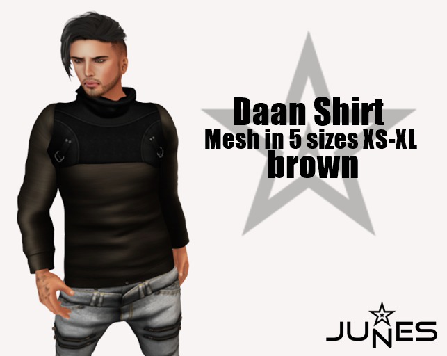 JUNES Daan Shirt brown