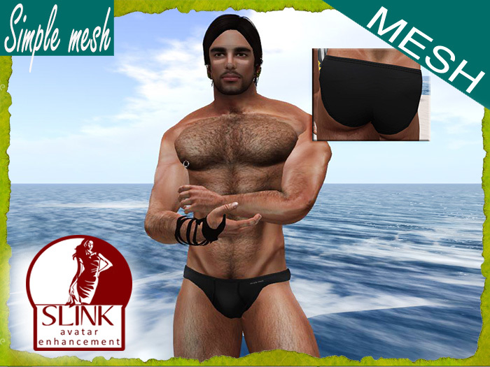 SM Brief SLINK (DEMO)