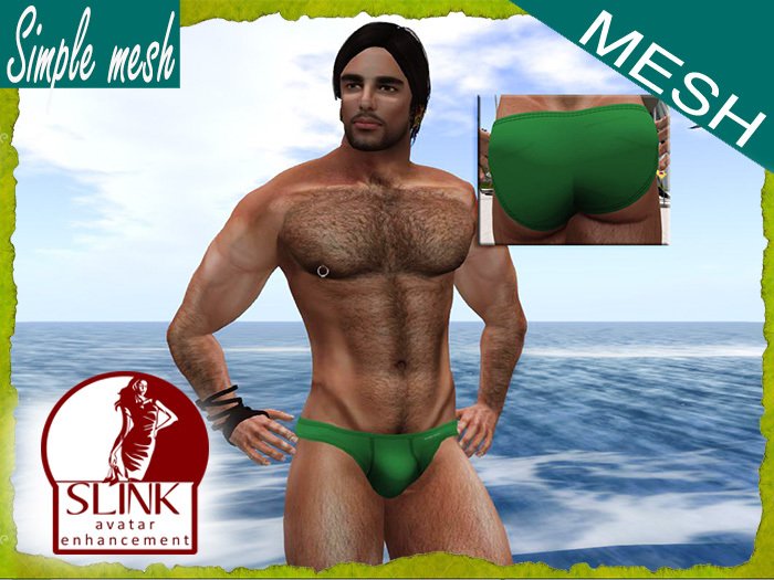 SM Green Brief SLINK