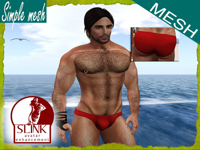 SM Red Brief SLINK