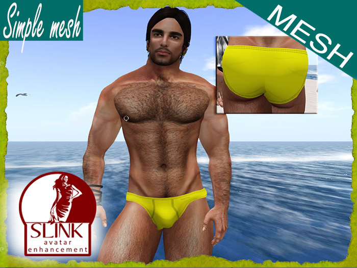 SM Yellow Brief SLINK