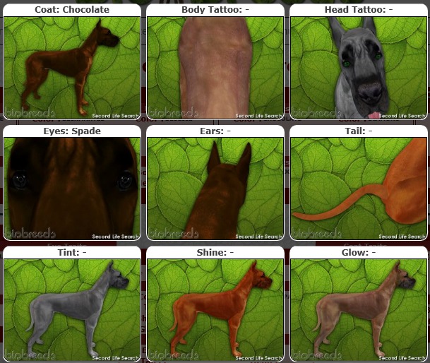 BB GD Box [M] chocolate/spade