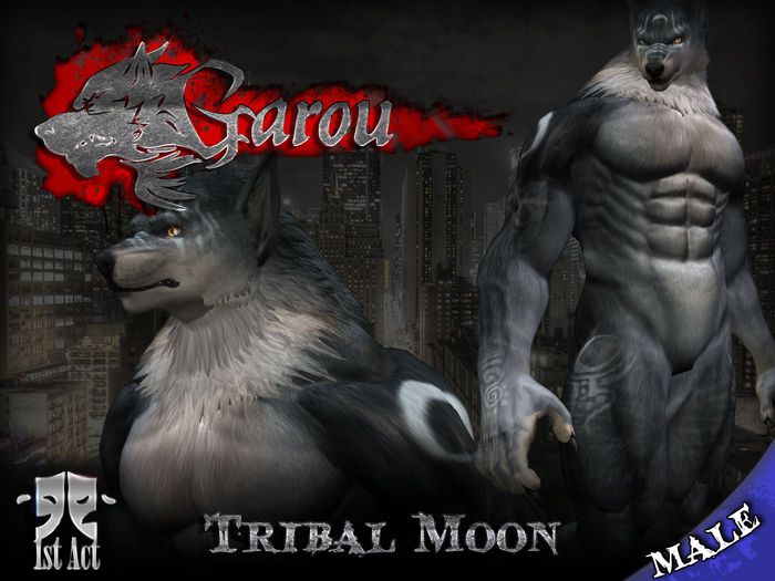 [1A] Garou Skin Applier - Male Arctic