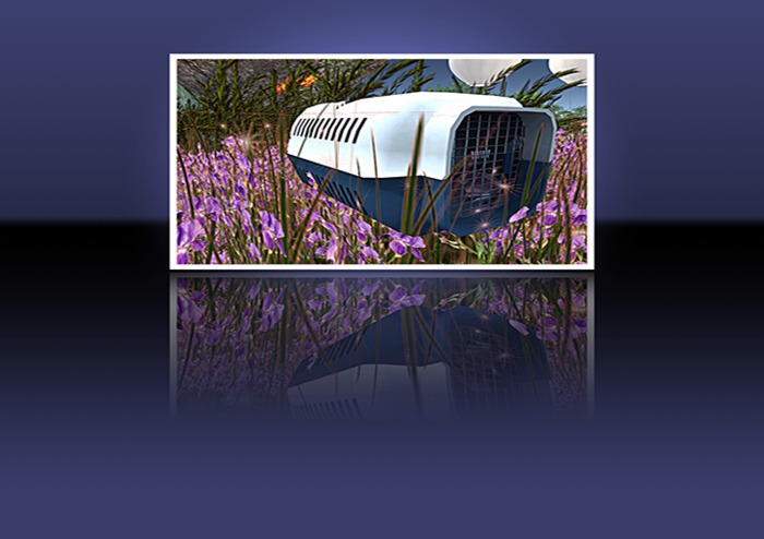 BB GD Box MCoat: OldBlue Ears: - Eyes: RoyalBlue Tail: - Shade: - Grand: Righty (h)