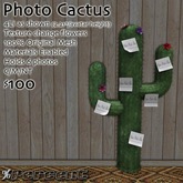 %Photo Cactus *MESH*