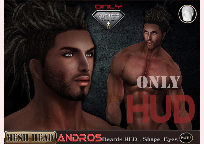 Aesthetic -PachaEwing- Mesh Head "Andros" HUD _ENZO
