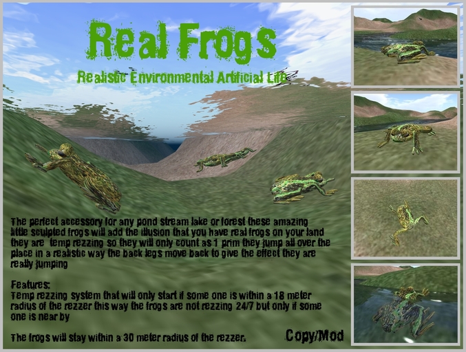 Real Frogs