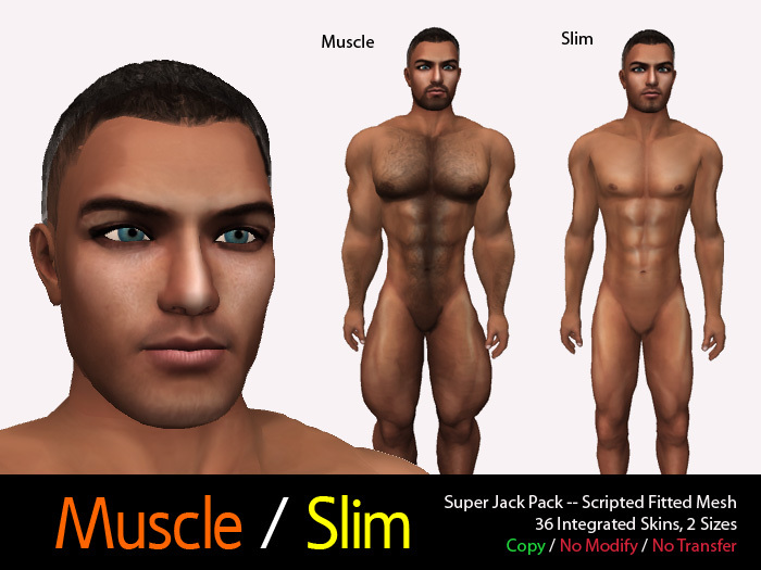 Super Jack Pack--Scripted Fitted Mesh