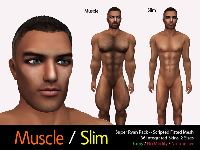 Super Ryan Pack--Scripted Fitted Mesh