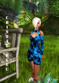 THE PARQUES Cristal Bleu Dress