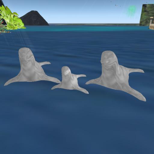 seal Family