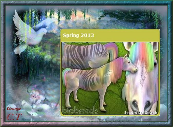 BB Spring 2013 Epic Zeony Box Female